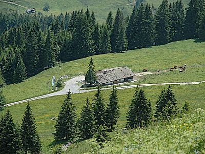 Feichteckalm