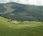 Bölcher Alm