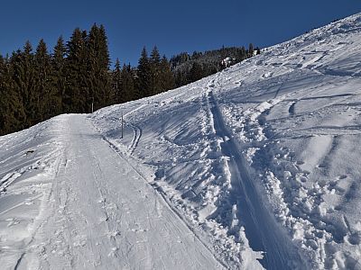 Immer wieder kreuzen wir die Zufahrtsstraße zur Prädastenalm  