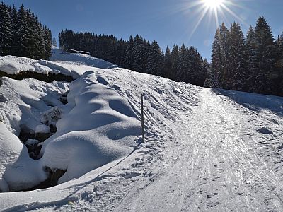 Links führt die Aufstiegsspur an der Prädastenalm vorbei