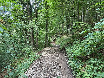 ...und verlieren in Kehren die nächsten Höhenmeter