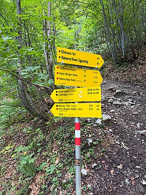 Den Abzweig zur Fritz-Pflaum-Hütte ignorieren wir