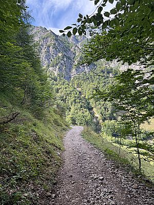 Wir treten aus dem Wald hinaus...