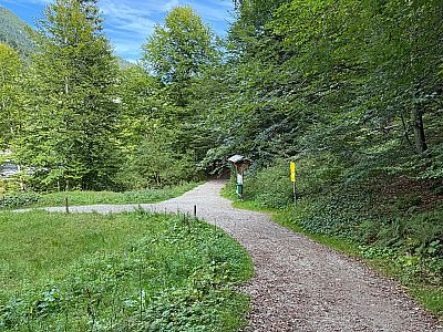 ...halten wir uns an der Verzweigung links...