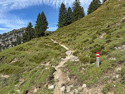 ...und biegen in den Pfad zum Feldberg ein