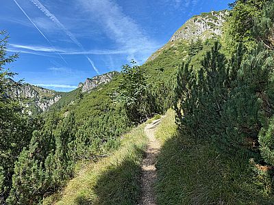 ...leitet uns der kleine Pfad zügig bergauf