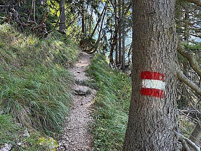 Schattenspendene Waldstücke sind am südseitigen Anstieg stets willkommen