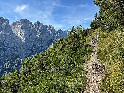 Die Bäume ziehen sich endgültig zurück...