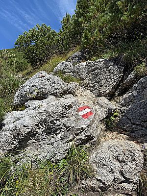 Nach einer Felstufe...