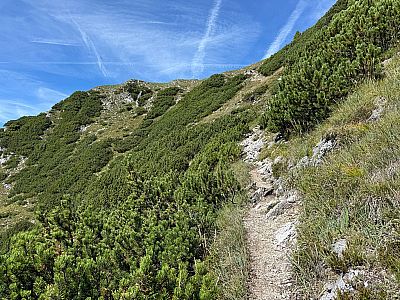 ...bringt uns der steinige Pfad...