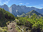 Durch Latschengassen wandern wir...