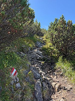 Es folgt der Gegenanstieg zum Tristecken