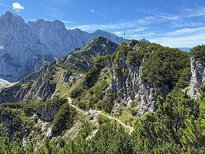 Der Stripsenkopf rückt näher