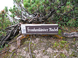 Hier haben wir