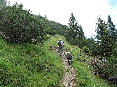 In Serpentinen schlängelt sich der Weg...
