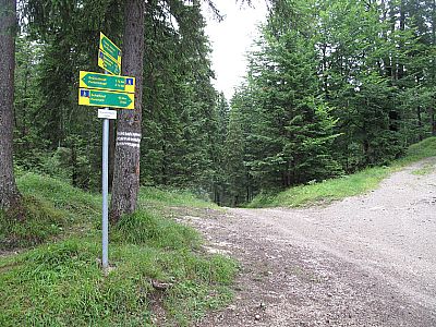 Am Sattel geht es links weg...