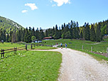 Wir spazieren über die Alm