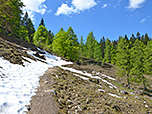...und steuern auf den Bergwald zu