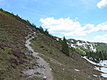 Wir schlagen den Gipfelweg zum Fellhorn ein