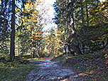 Über den Naturlehrpfad wandern wir in den Bergwald hinein...