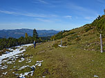 ...und schlagen den Weg zum Straubinger Haus ein