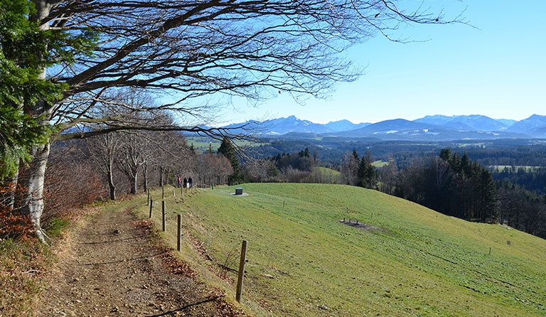 Fentberg (807 m)