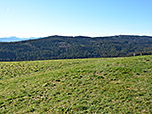 Blick zum Taubenberg...