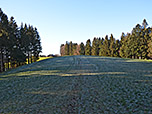 Der Wald lichtet sich