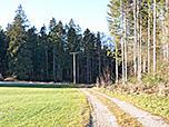 ...und folgen dem Karrenweg...