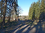 ...durch lichten Wald hinunter...