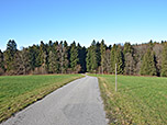 Vom Wildschwaiger leitet uns der Weg...