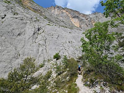 ... die uns durchs Grün und ...