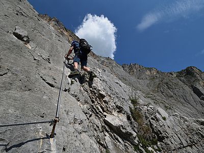 Ein wenig ausgesetzt ist es allerdings schon. 