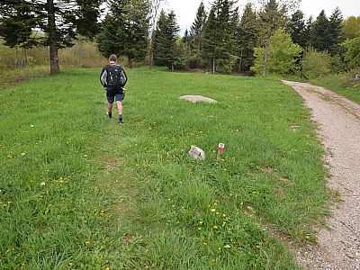 Hier verlassen wir den Hauptweg nach links 