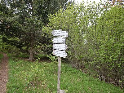 Hier verlassen wir auf dem Weg 426 nach links die Hangkante