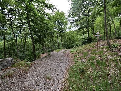 Die Fahrstraße können wir über Pfade, ...