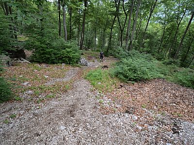 ... die meist in der Direttissima zu Tal führen, abkürzen.