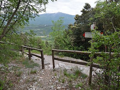 Immer wieder kreuzen wir die Fahrstraße