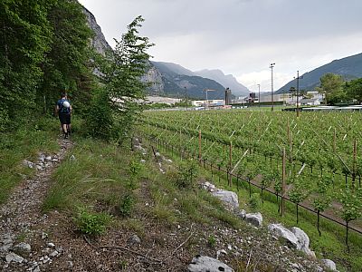 ... und erreichen über einen schmalen Pfad wieder den Aufstiegsweg.