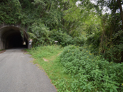 Rechts vor dem Tunnel biegen wir auf einen Pfad ab...