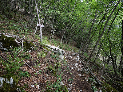 ... erreichen wir den Abstiegsweg.