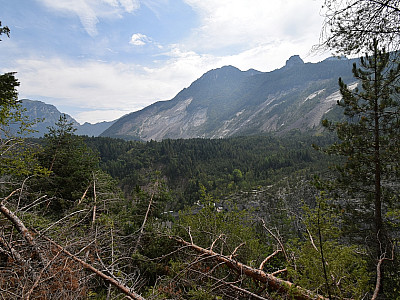 Der Wald wächst auf dem von den blanken Flächen abgerutschten Geröll
