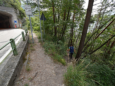 ... führt uns ein Pfad ...