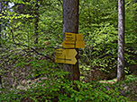 Im Wald trifft man auf erste Wegweiser