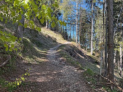 In weiterhin mäßiger Steigung...