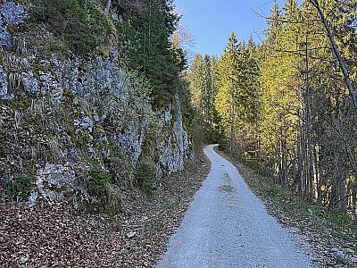 Wir schwenken rechtshaltend in den Forstweg ein...