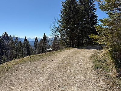 ...lichtet sich der Wald...