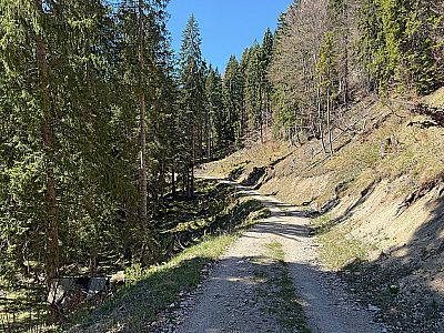 Nach der Jochalm verlieren wir ein paar Höhenmeter...