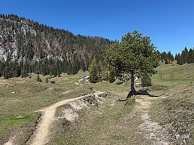 Wir lassen das Höhlensteinhaus erst einmal rechts liegen...