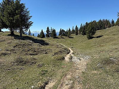 ...und schlagen den Weg Richtung Bärenbad ein